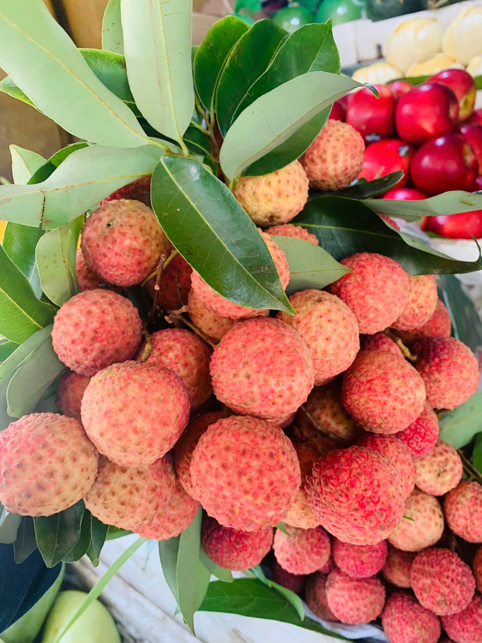 Vải Việt Nam Xách Tay